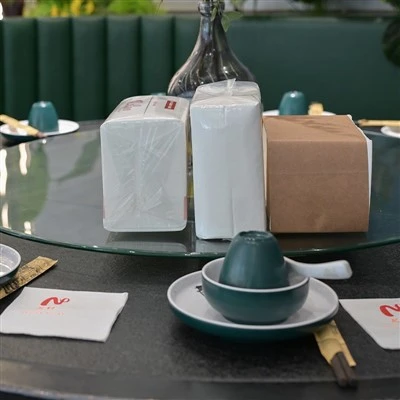 16 * 21 Napkin Dispenser